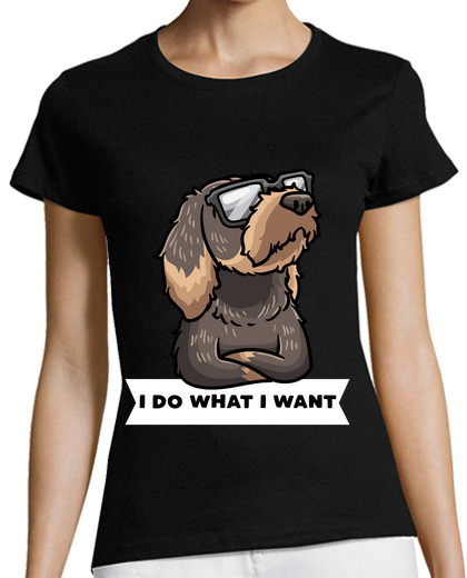 Image of stubborn wire haired dachshund dog with