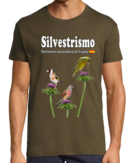 Image of three feathers, goldfinch, pardeillo, verder