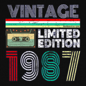 Camisetas 1987 Vintage - Limited Edition