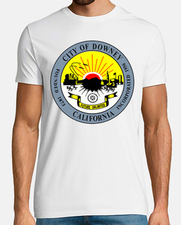 243 - downey, california