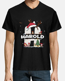 Harold Christmas   Harold Name funny