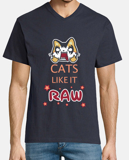 cats like la t-shirt raw a v a V