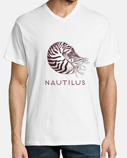 nautile