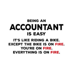 Accountant funny puns jokes hoodie | tostadora
