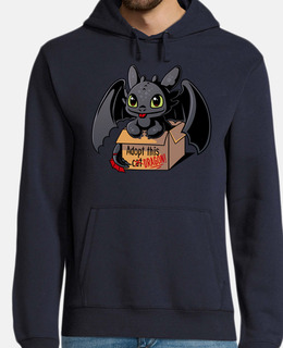 adopter un dragon
