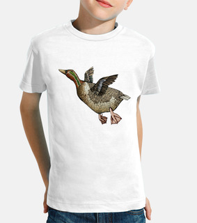 alzavola kid t