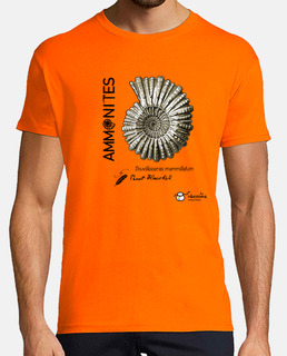 Ammonites
