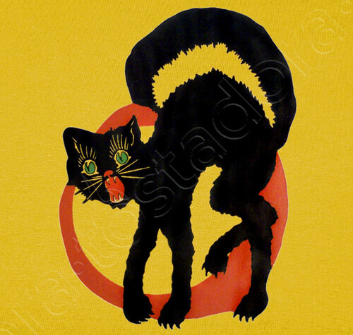 camiseta anarchy black cat