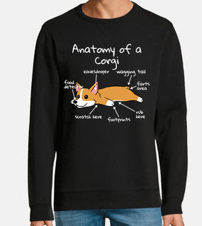 anatomia di un cane corgi