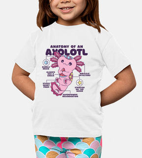 Anatomy of a Axolotl
