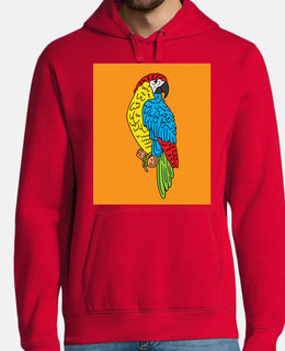 animale domestico colorato uccello papp