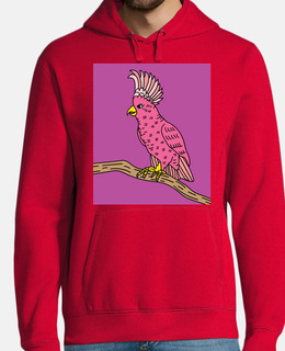 animale domestico colorato uccello papp