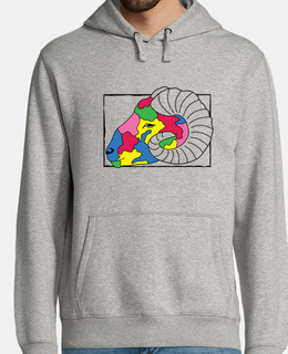 ariete multicolore