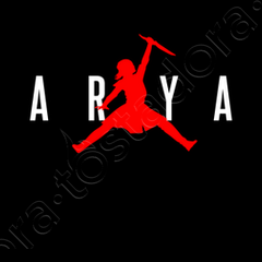 Arya stark top shirt jordan