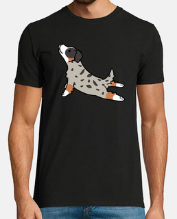 Australian Shepherd Dog Yoga