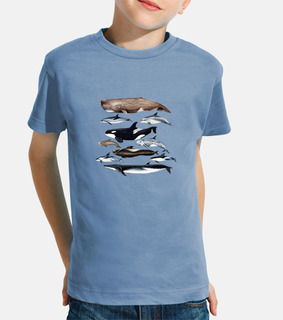 baleines, cachalots, baleines et dauphins chemise