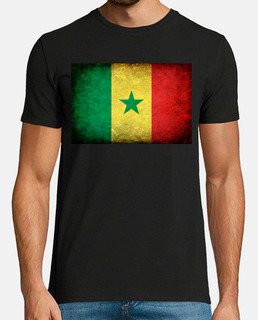 bandera de senegal
