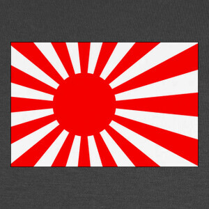 Camisetas bandera japonesa sol naciente