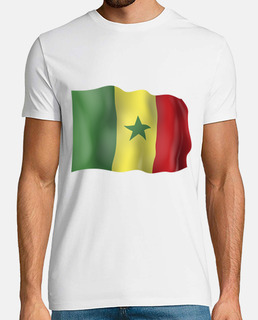 bandera senegalesa