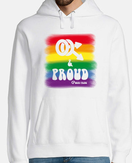 bandiera gay e pro