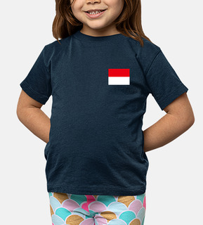 Bandiera Indonesia