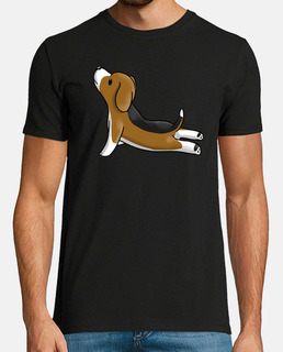 beagle yoga