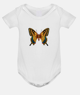 beautiful butterfly