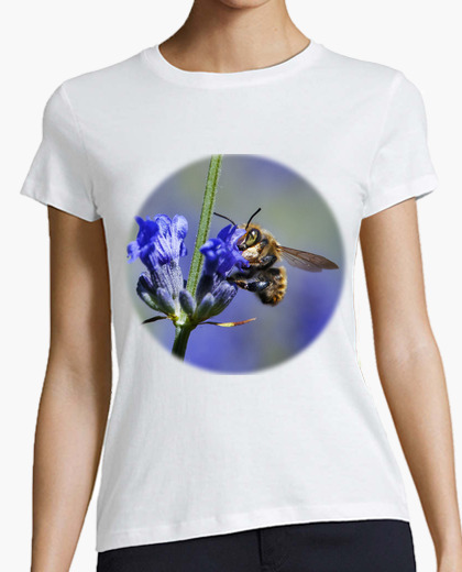 Bee on lavender flowers (chest) t-shirt