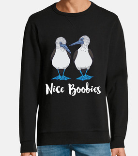 bel regalo di uccelli booby boobies dai