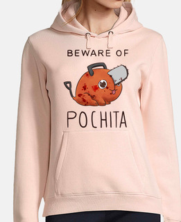 bew are of pochita