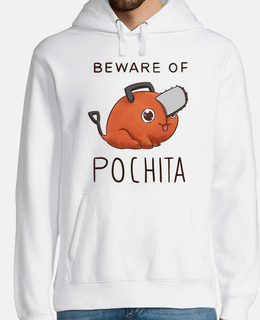 bew are of pochita 2