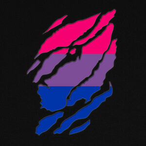 Camisetas Bi proud