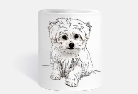 Bichón maltés