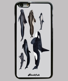 coque iphone 6 orque coque iphone 6 orque