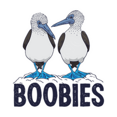 Blue footed booby bird gift boobies t-shirt