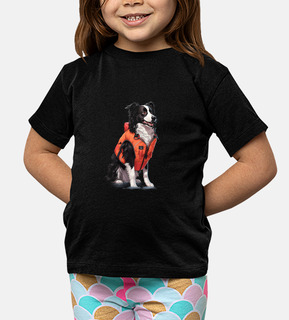 border collie dog dock diving jumping
