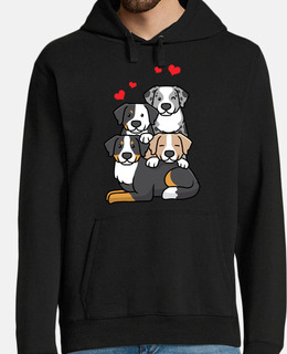 bovaro bernese