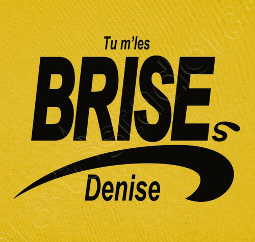 Brice de Nice parodie https://www.tostadora.fr/bibine/brise_denise/1218322