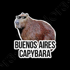 Camiseta Capivara Meme Fofo Latinoamerica Unissex