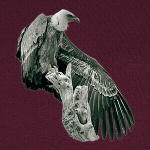 T-shirt avvoltoio leone
