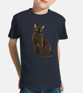 burmese cat