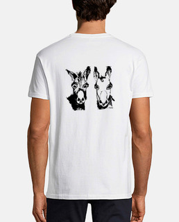 burros