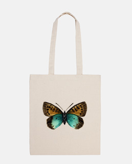 butterfly bag tomares ballus the verdigris