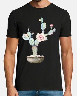 Cactus planta