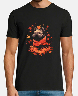 cairn terrier automne feuilles chien