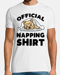 cairn terrier perro durmiendo