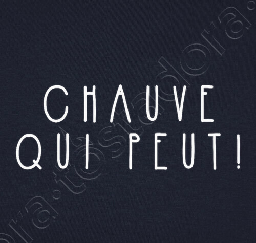 Avoir Images Tee Shirt Chauve Qui Peut Expression Humour Tostadora Fr dernière salutations