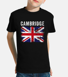 Cambridge Regno Unito bandiera british 