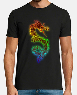Camiseta Chico Rainbow Dragon