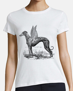 Camiseta Greyhound divine chica